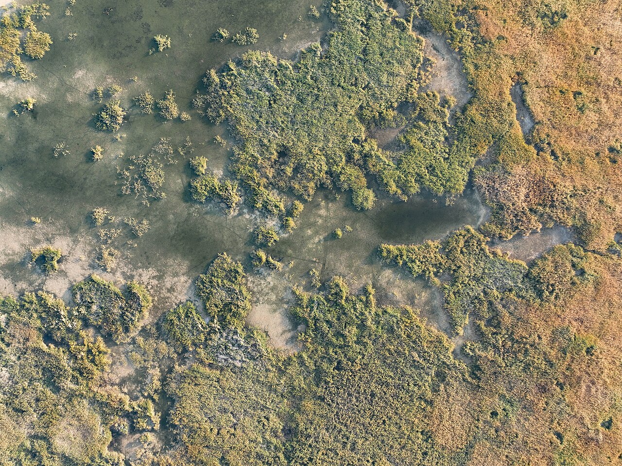 Балқаш