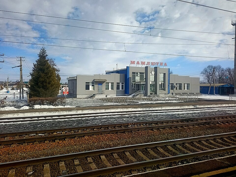 Мамлютка