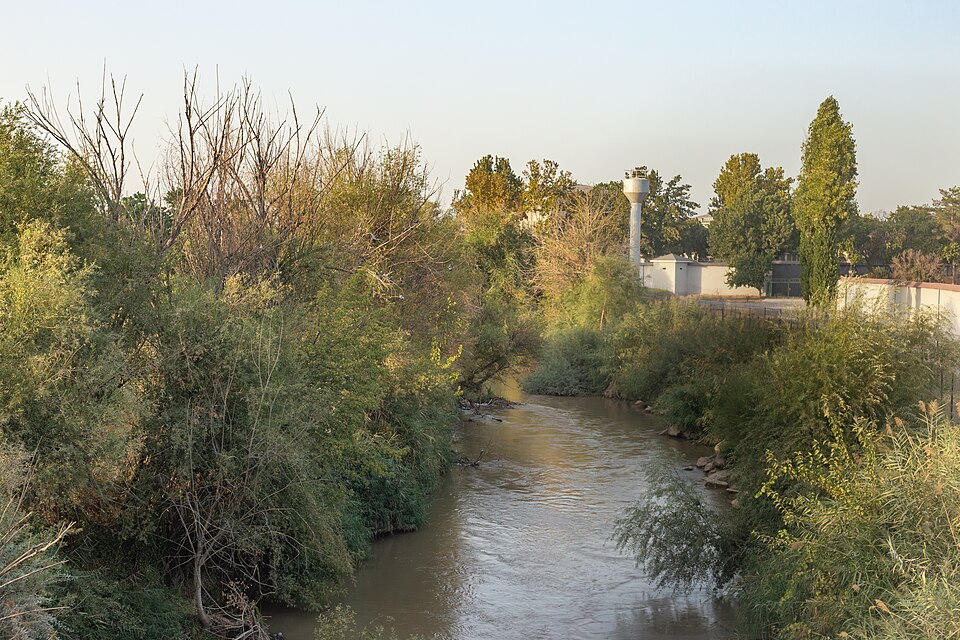 Сарыағаш